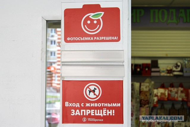 Хрюши против - на улице поговорим