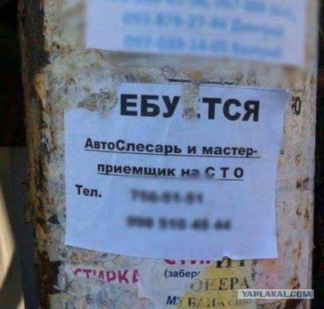 Чуток картинок! 22.12.19