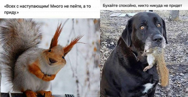Бредзона 29.12.19