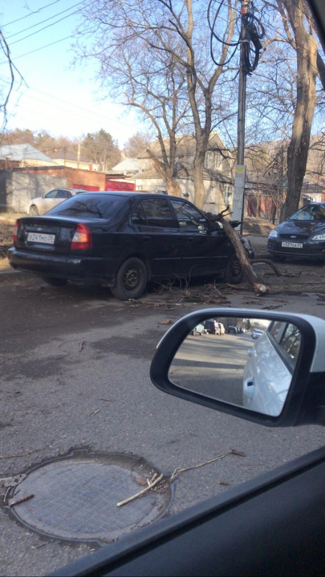 Ураган "Юля" буянит в Одессе (24/02/2020)