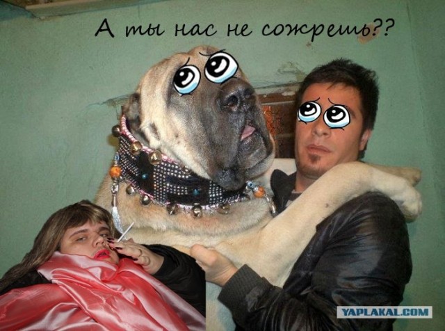 Фотожаба: Товарищи