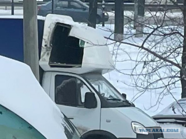 Московские полицейские вернули владельцу автомобиль с трупом.