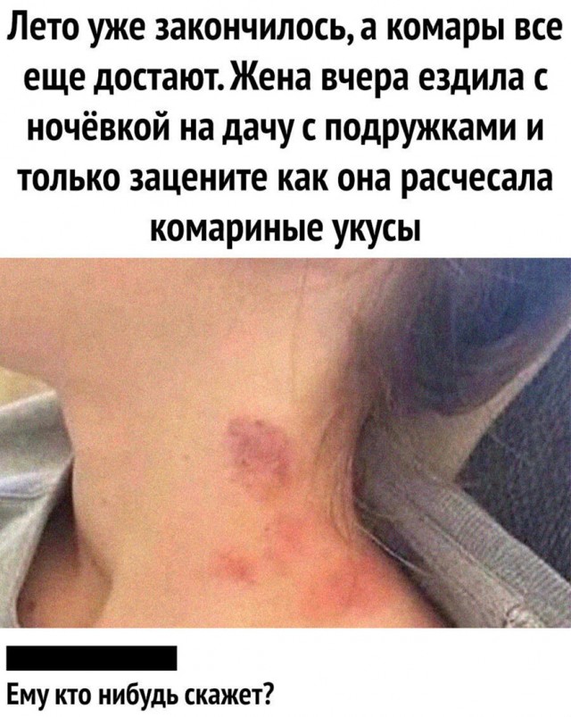 Так себе картинки 12.02.21