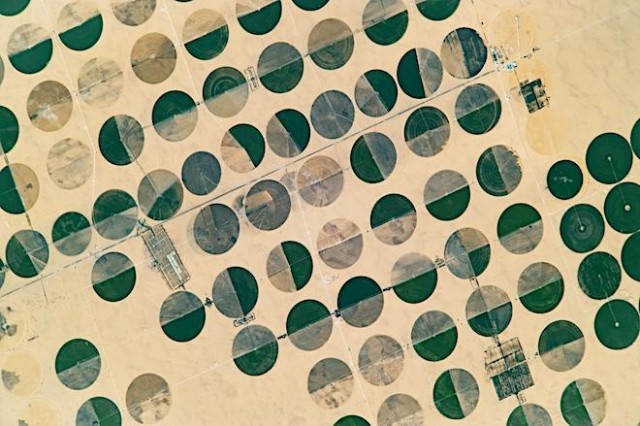 Фермерские зеленые поля Саудовской Аравии