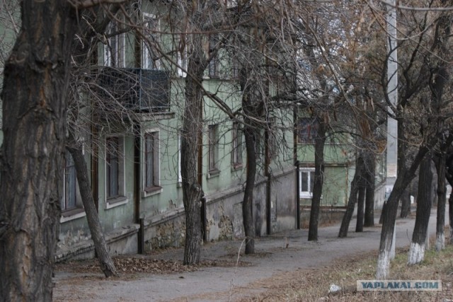 Полная дегенерация общества на Донбассе