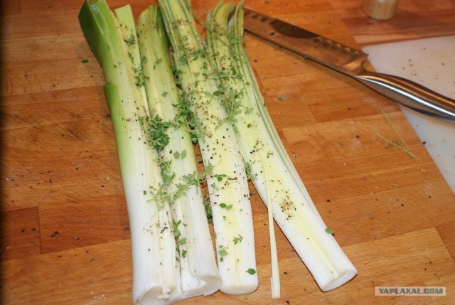 Пятничные посиделки на теплотрассе ©