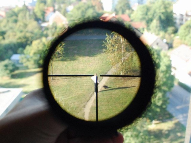 Как я Медведева "видел"