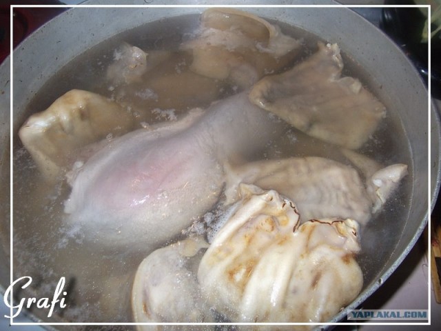 Язык в ушах