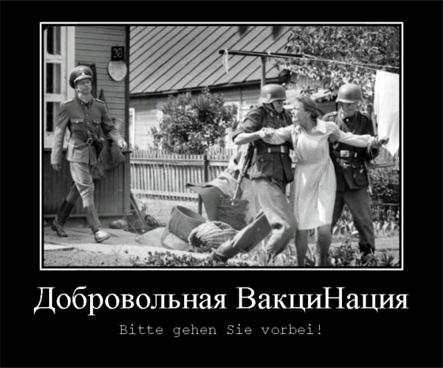 Любопытное наблюдение по куркодам. Техническое