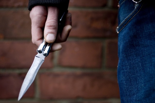 В парке "Братеевская пойма" героический мужчина зарезал педофила, изнасиловавшего его несовершеннолетних дочерей