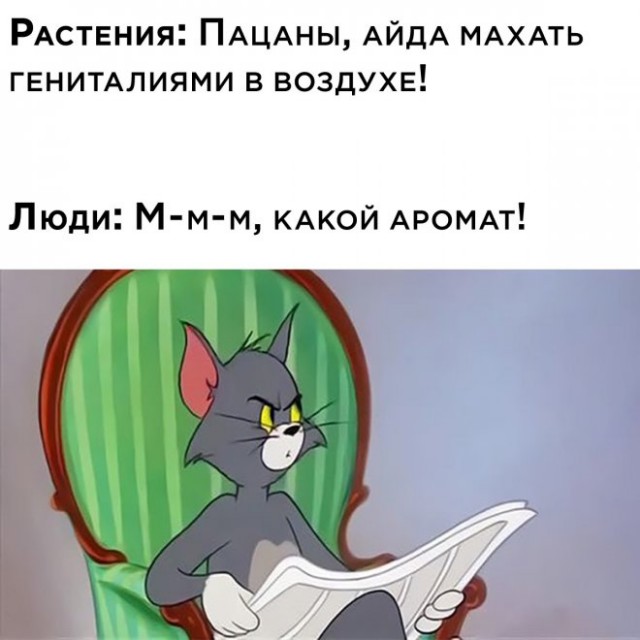Так себе картинки 30.01.22