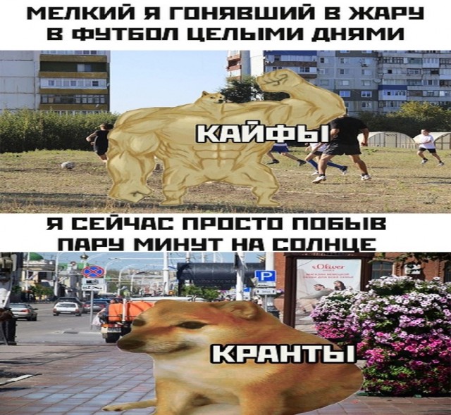 Картинки и мемы для настроения - 29