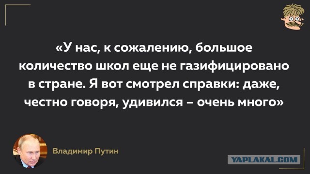 Цены на сайру во Владивостоке