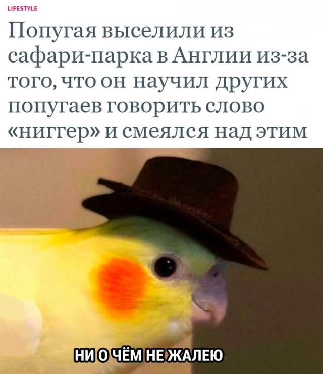 Так себе картинки 25.07.22
