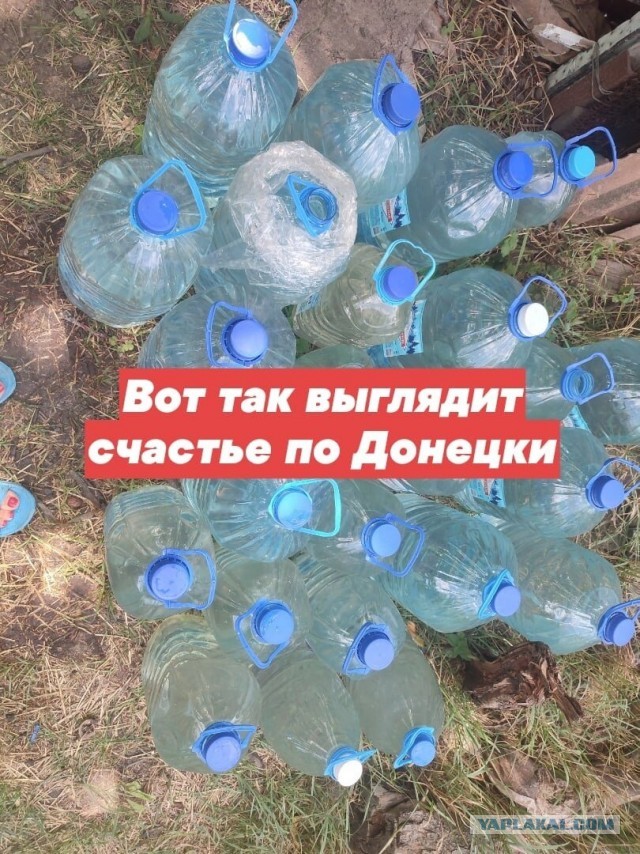 Котики в беде