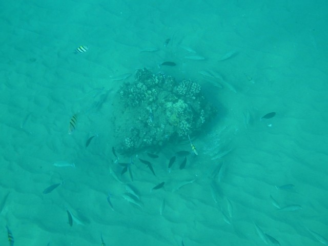 Деревенская Америка