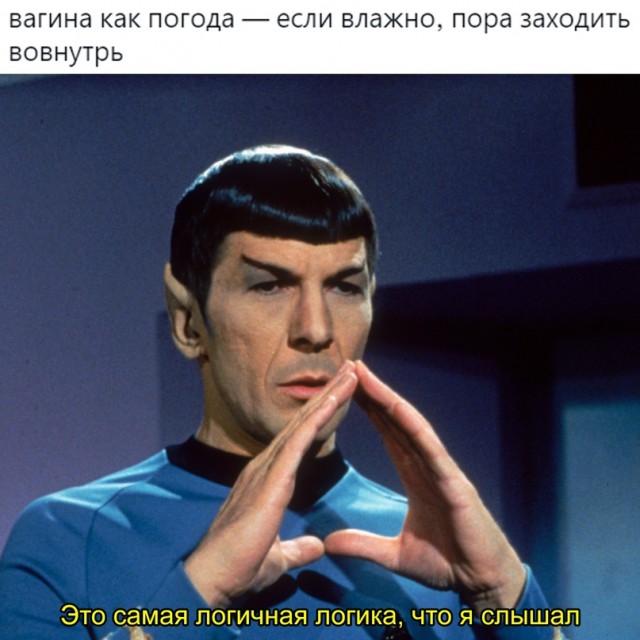 Весёлый полтишок 02.10.22