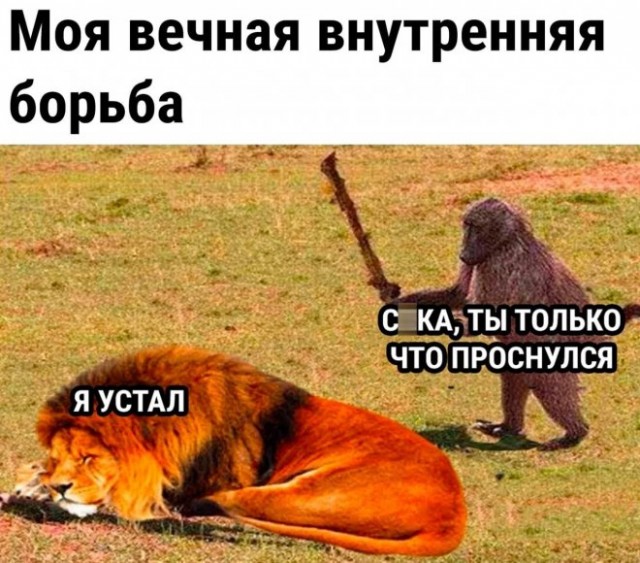 Картинки и мемы для настроения - 119