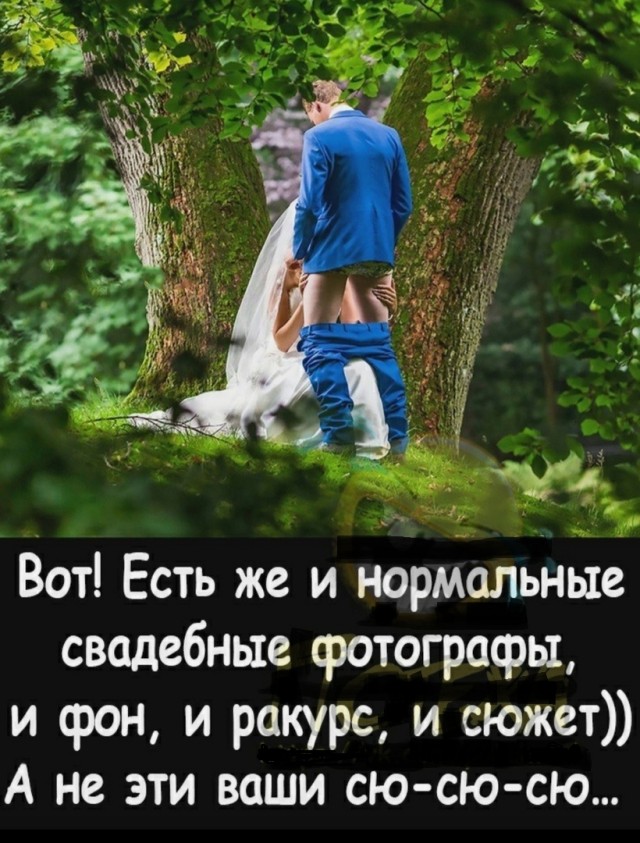 Так себе картинки 24.12.22