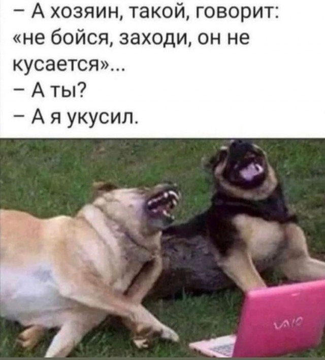 Победная поступь идиотизма по планете – том 9