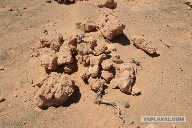 В Монголию на мотоциклах 2006