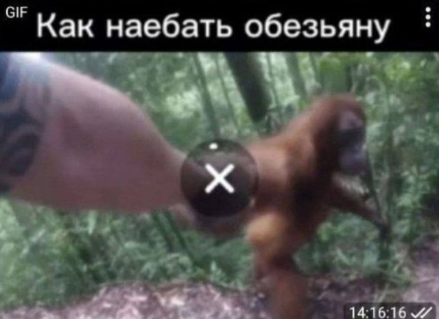 Как на@ть обезьяну