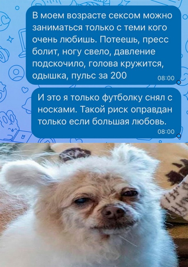 Картинки и мемы для настроения - 137