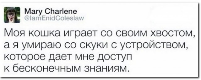 Забавные комментарии из социальных сетей (17.04.23)
