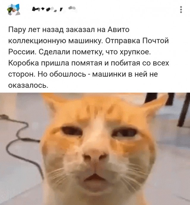 Картинки и мемы, всяко разно - 175