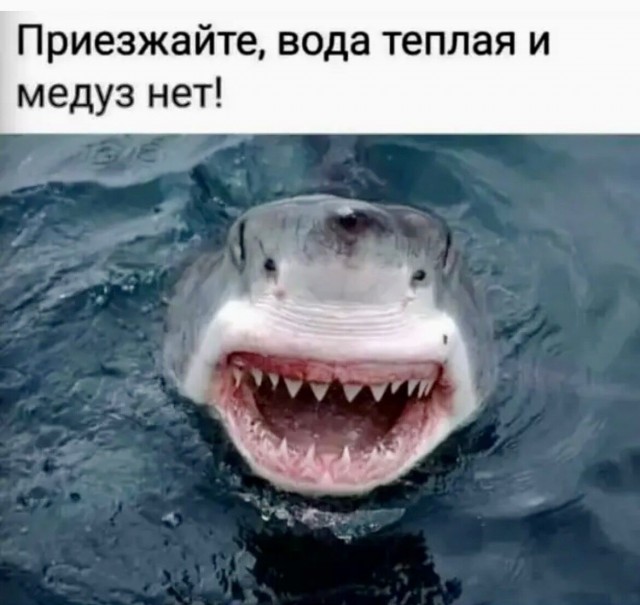 Юмор в картинках и без 23.06