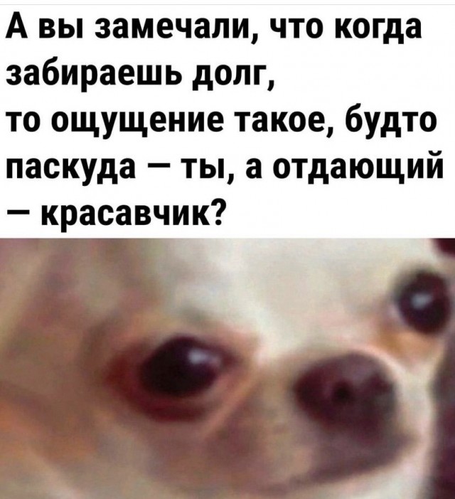 Нуштош 06.07.2023