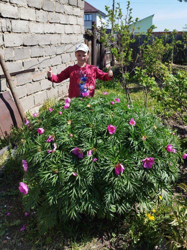 Красивое Вам