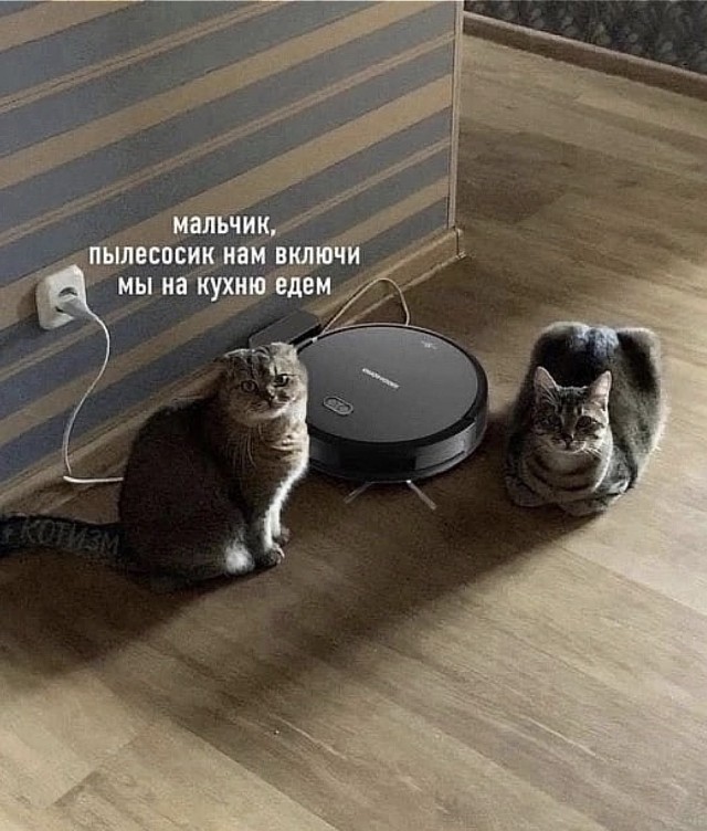 Так себе картинки 01.08.23