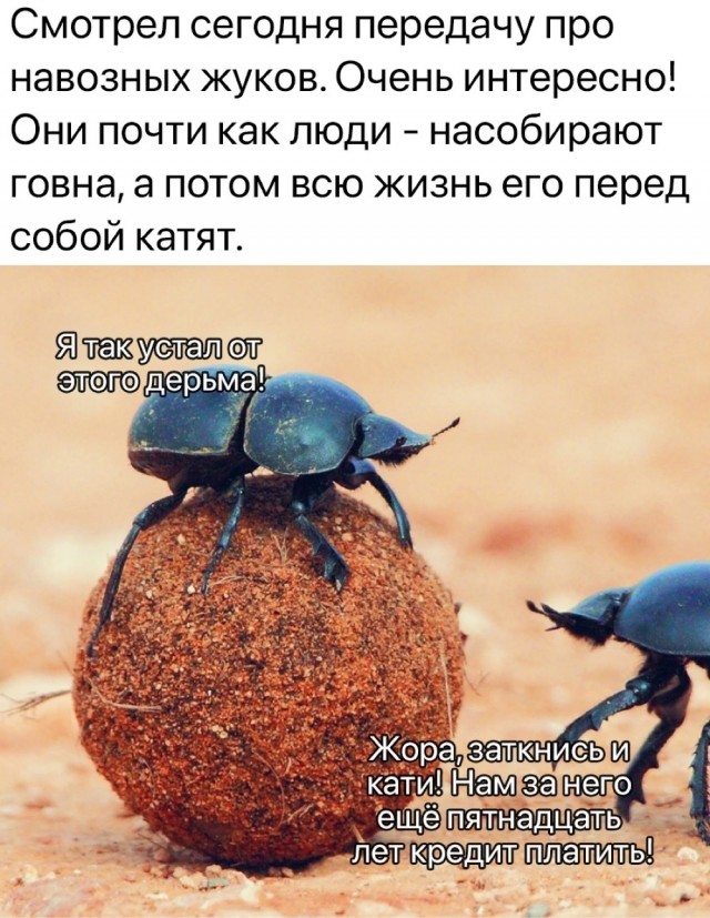 Так себе картинки 03.10.23