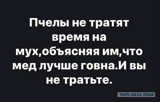 300$. ЗП рядового сотрудника в Региональных "магнитах⁠"⁠