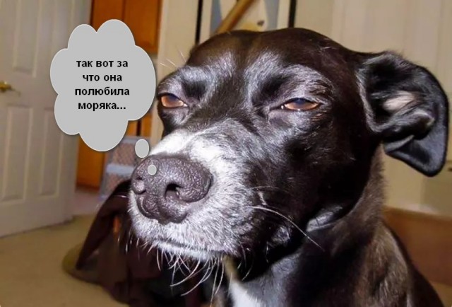 Морской х*й