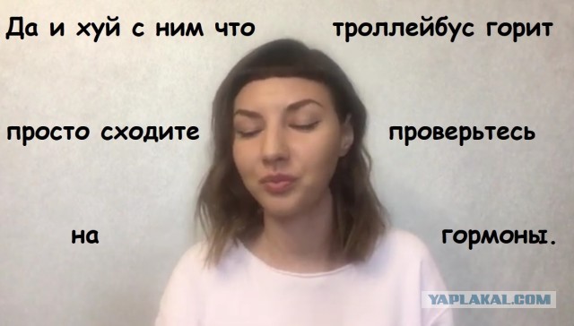 Картинки -3