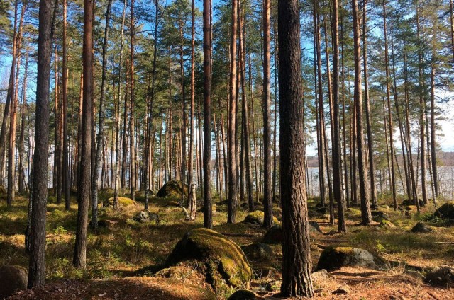 Выборг: тайна старого погреба