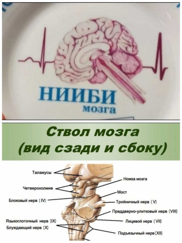 Деревенская Америка - 10
