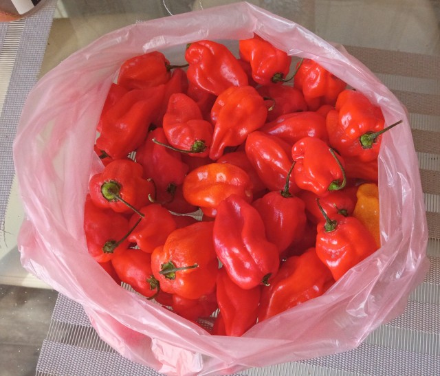 Сентябрь, и снова о перцах