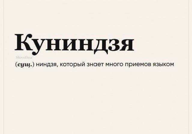 Весёлый полтишок 01.11.24
