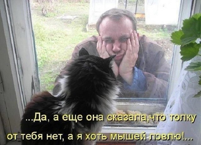 Так себе картинки 24.11.24