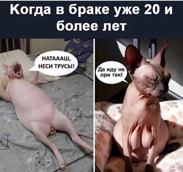 Картинков разных вам..