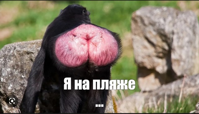 Старая классика на новый лад