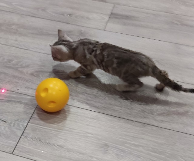 Теперь и я стал рабом...