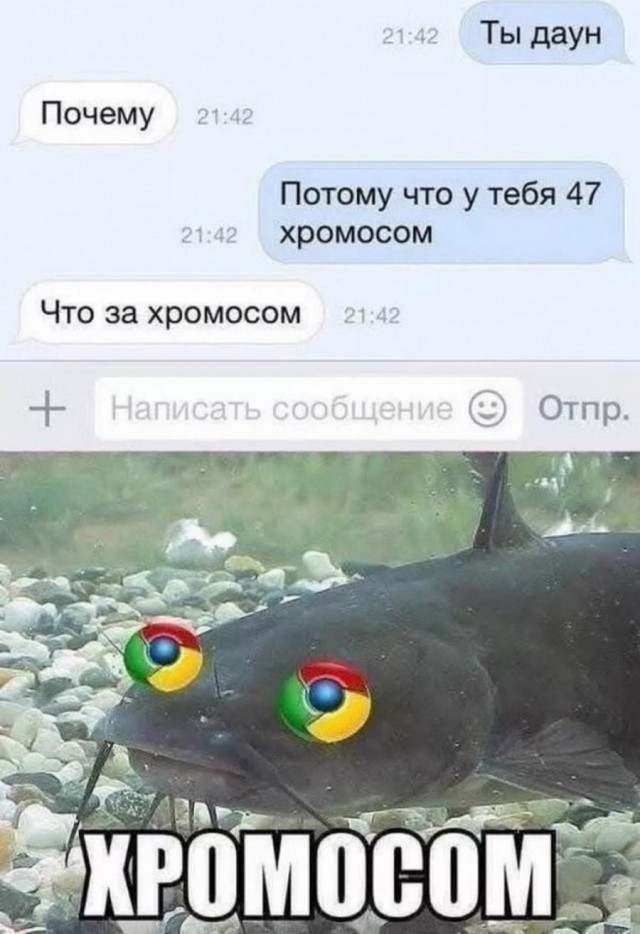 Доставка новостей