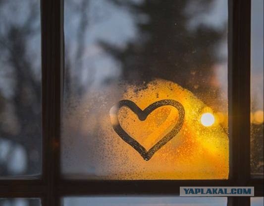 Не запрещайте себе быть счастливым