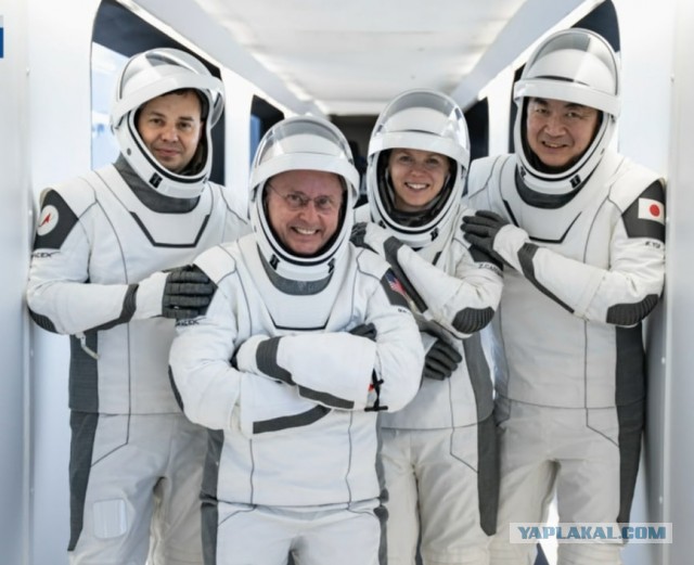 Трансляция запуска миссии Crew-11 с Олегом Платоновым