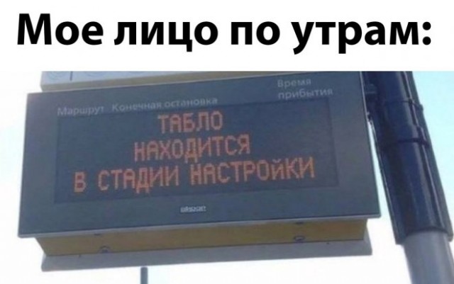 Веселые картинки в пятницу (08.08)