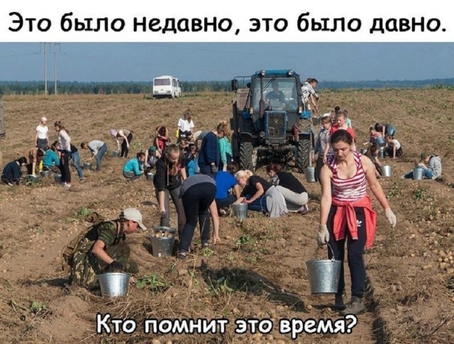 Так себе картинки 18.08.25
